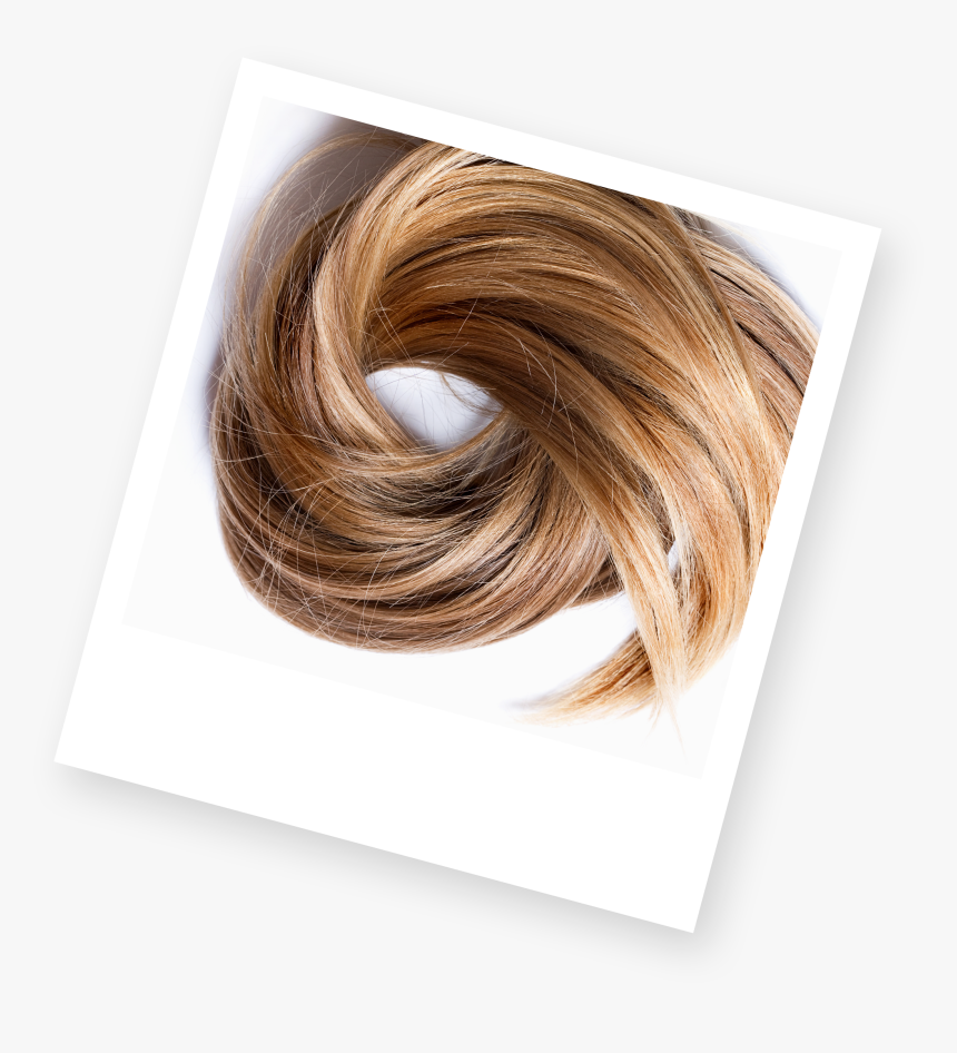 Photograph Of Woman With Blonde Hair - Blond, HD Png Download