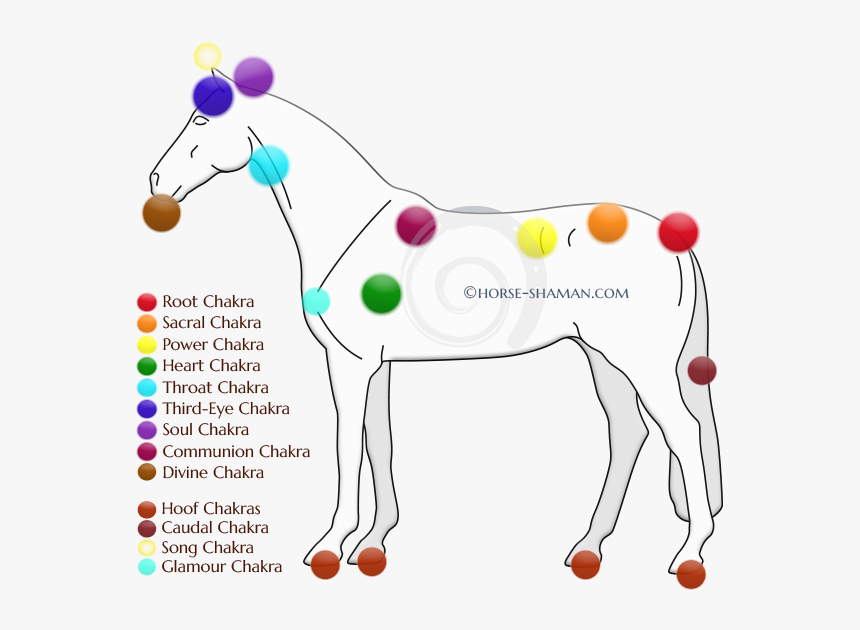 Chakras On A Horse, HD Png Download