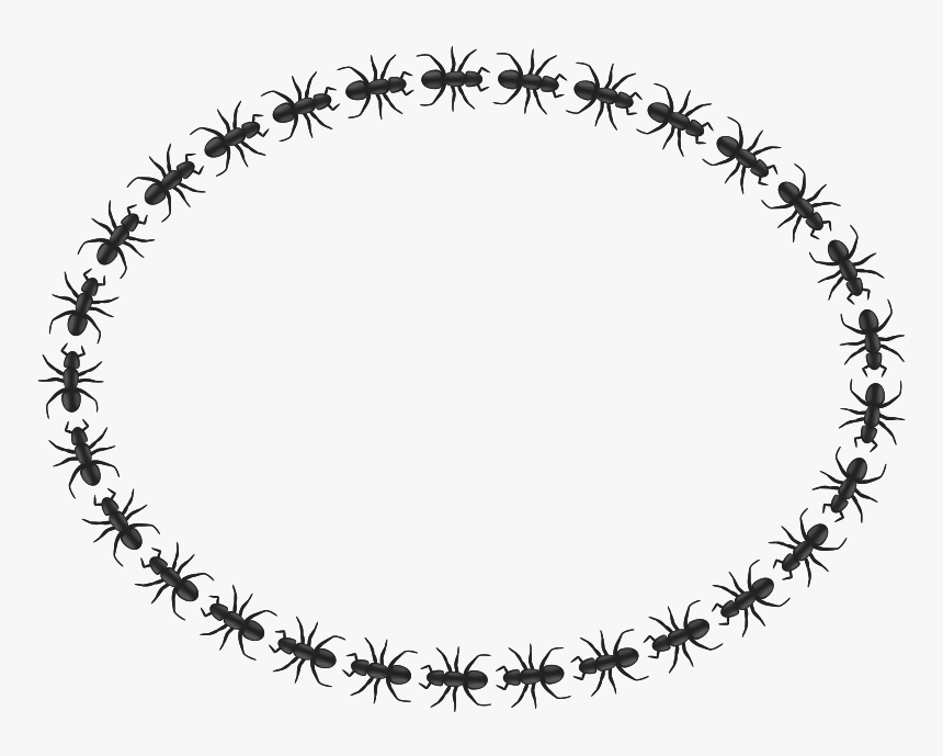 Ant Border Oval - Icon Border Circle Png, Transparent Png