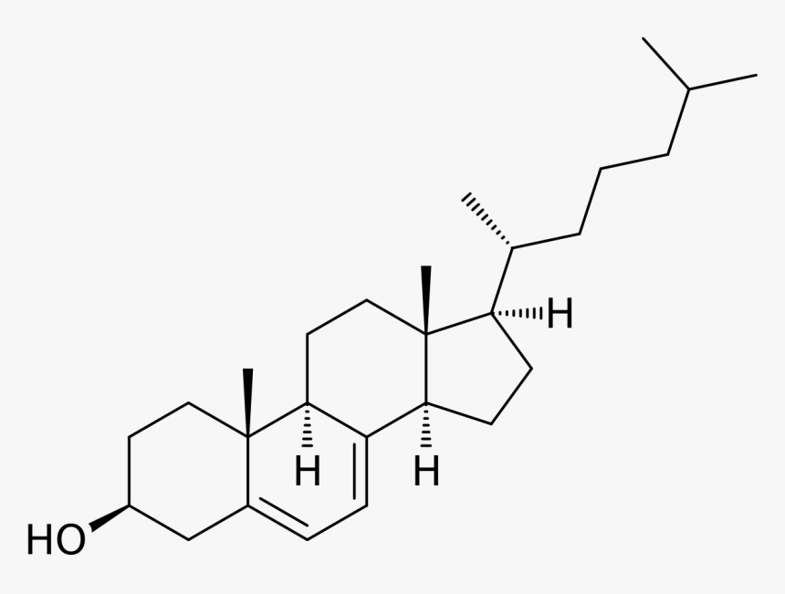 Smith Lemli Opitz Syndrome Dna - 7 Dehydrocholesterol, HD Png Download