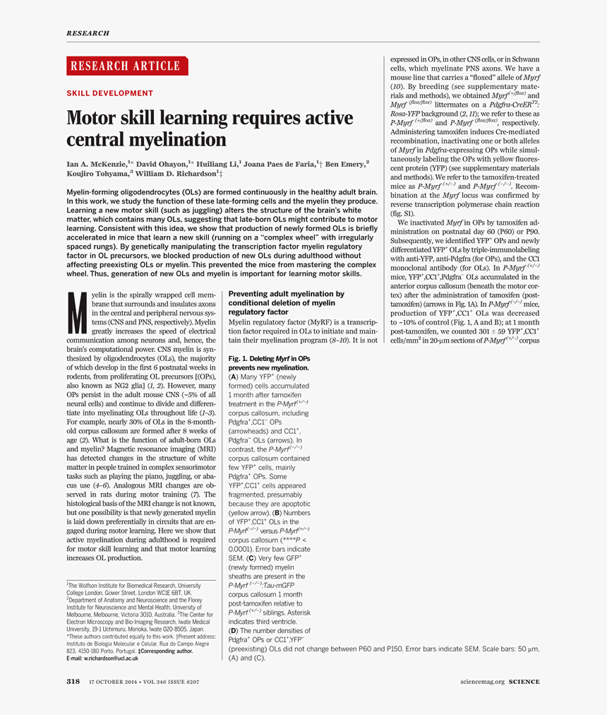 Document, HD Png Download