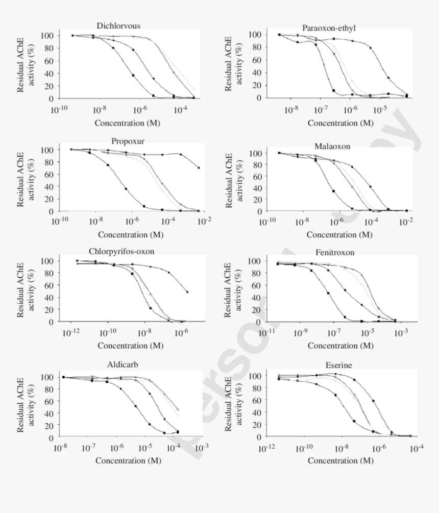 Monochrome, HD Png Download
