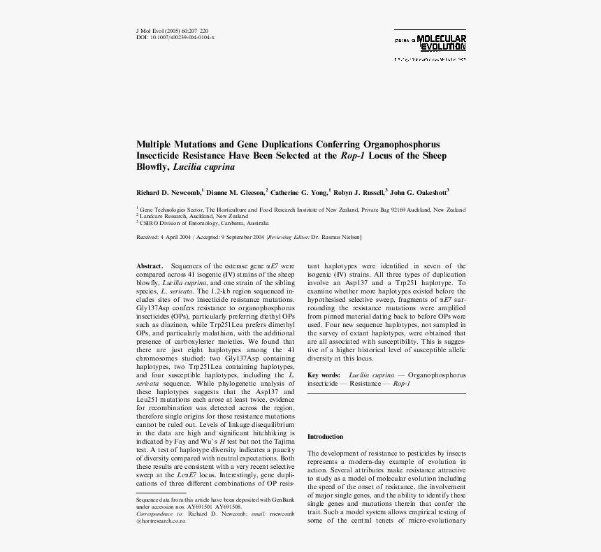 Document, HD Png Download