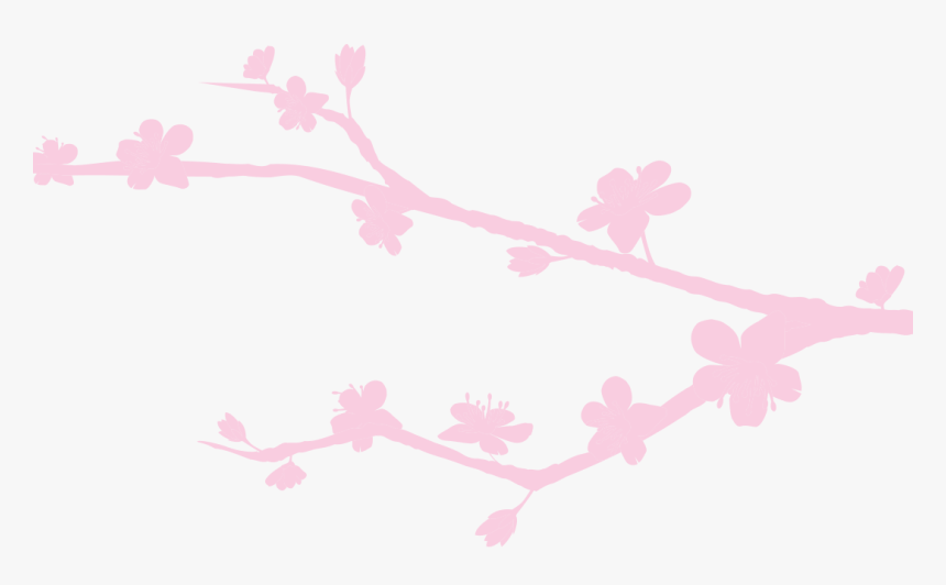 Cherry Blossom, HD Png Download