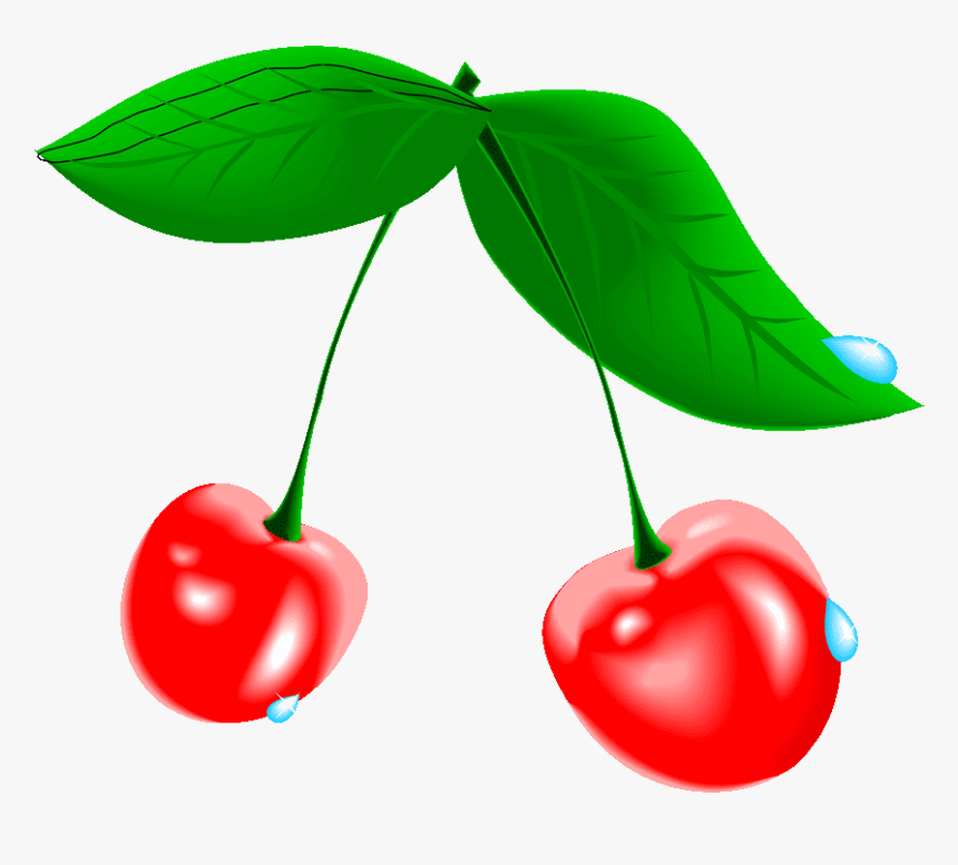 Cherry Tree Clipart At Free For Personal Transparent - Cherry Blossom Fruit Png, Png Download
