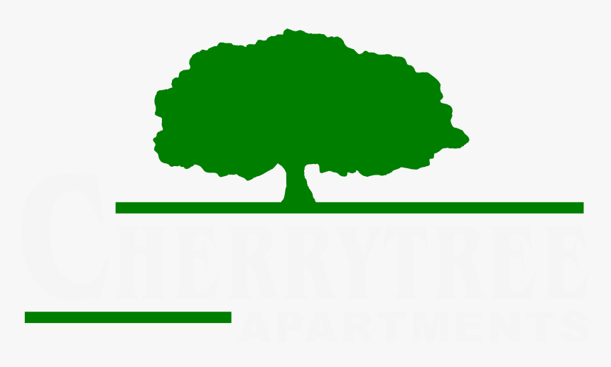 Cherry Tree Apartments - Tree, HD Png Download
