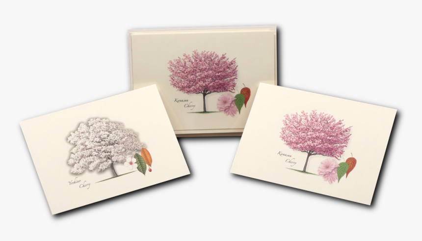 Protea, HD Png Download