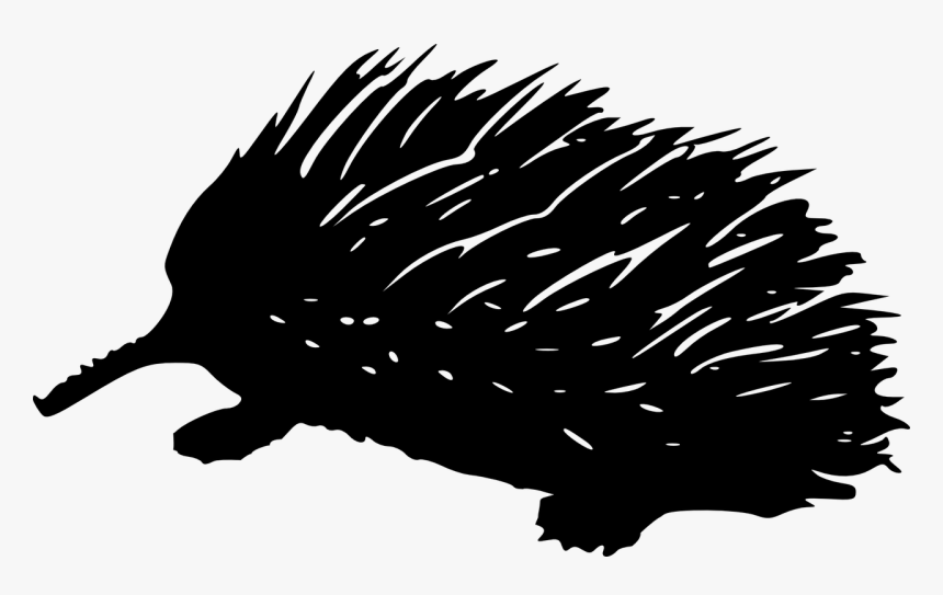 Echidna Clip Art, HD Png Download