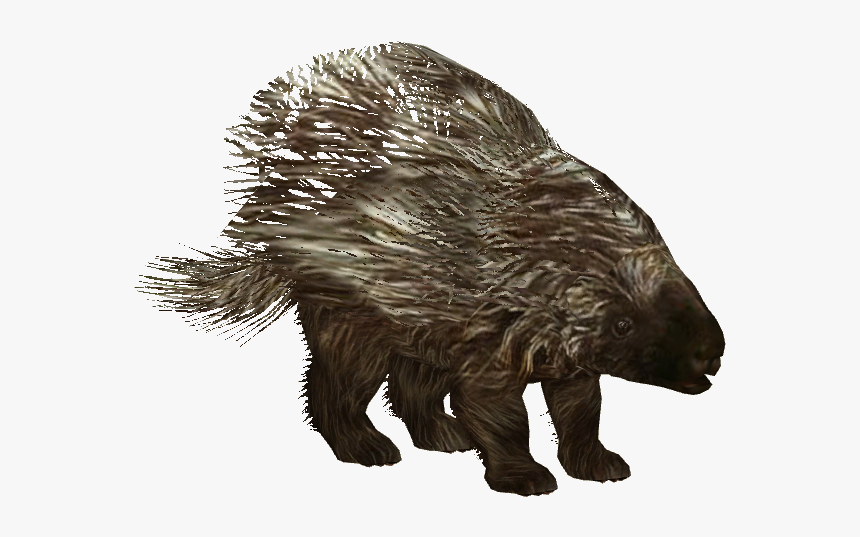 American Porcupine - Zoo Tycoon 2 Porcupine, HD Png Download