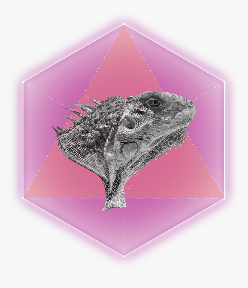 Transparent Hexagon Outline Png - Illustration, Png Download