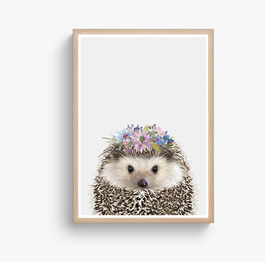 Hedgehog Floral 2 
 Class Lazyload Lazyload Fade In - Domesticated Hedgehog, HD Png Download