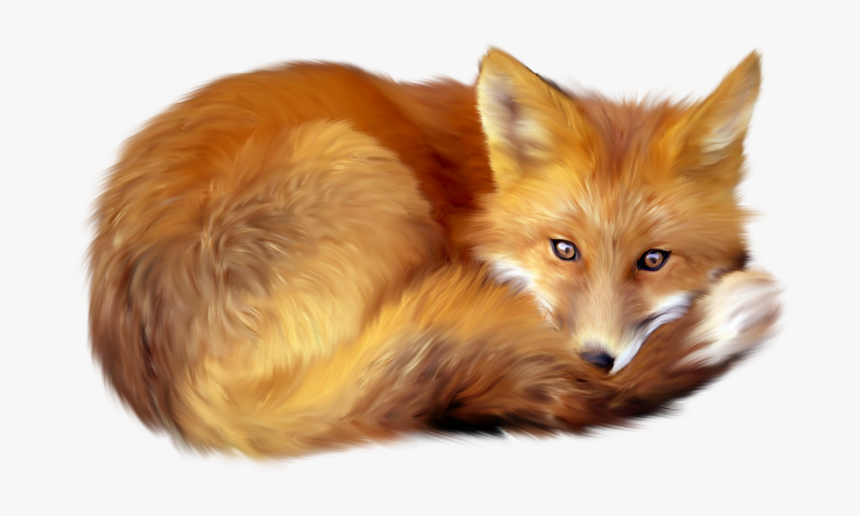 Red Fox Clip Art - Fox Png, Transparent Png