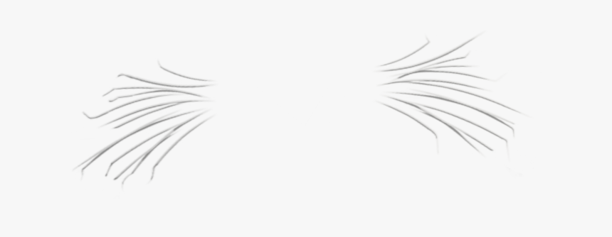 Footprint, HD Png Download