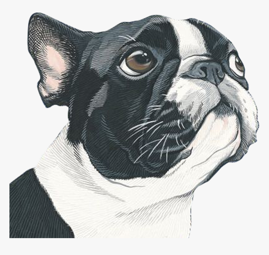 Portrait Art Painting Dog Illustration Free Download - Artby Manda, HD Png Download