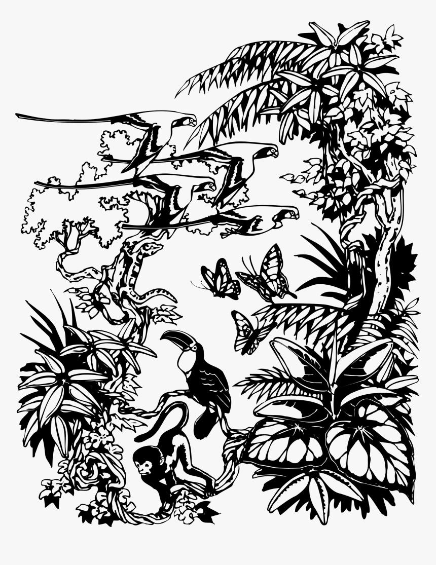 Jungle Border Png Download - Jungle Drawing Png, Transparent Png