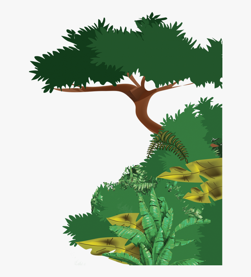 Transparent Jungle Border Png - Drawing Of Tropical Evergreen Forest, Png Download