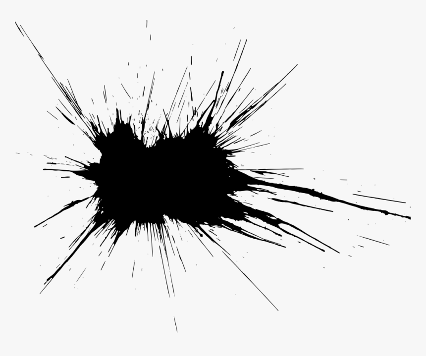 Invertebrate, HD Png Download