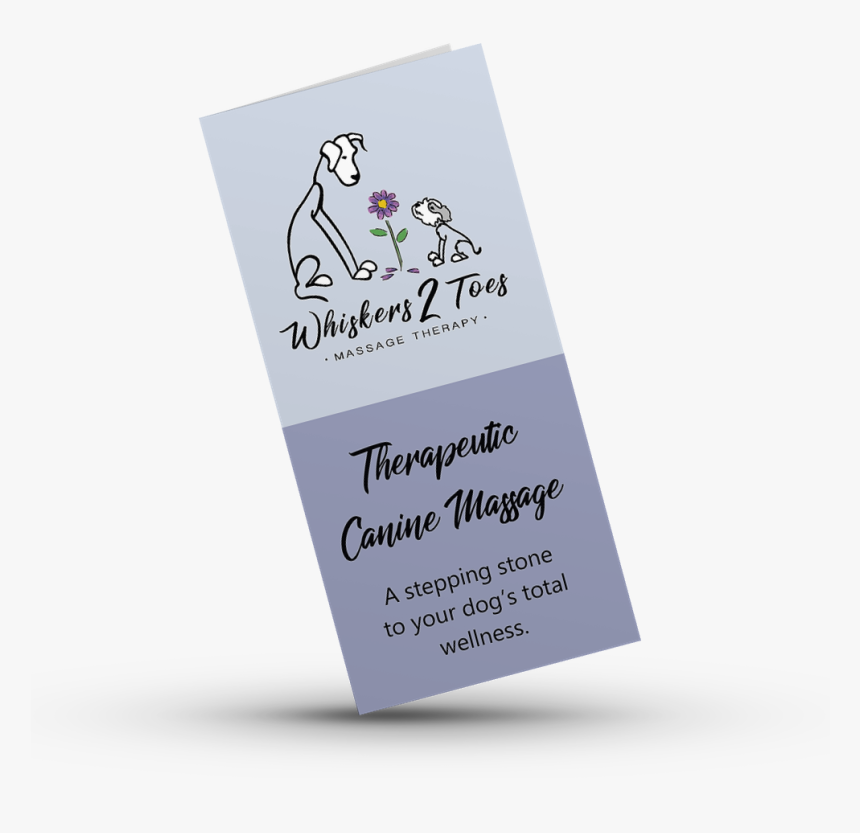 Whiskers 2 Toes Llc - Flyer, HD Png Download