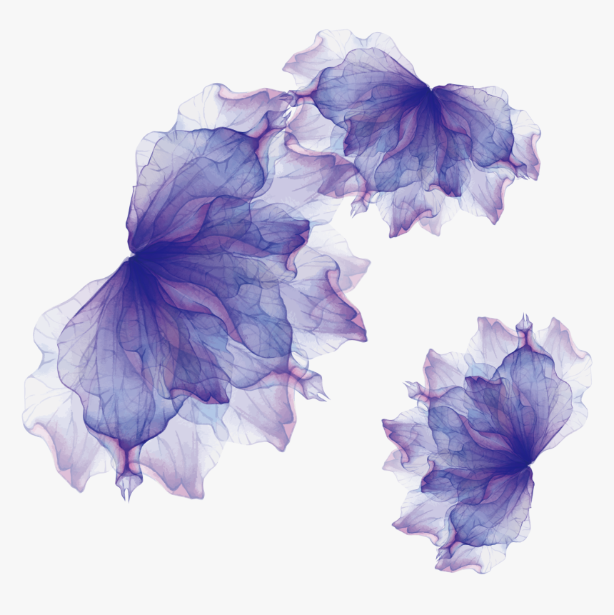 Transparent Purple Watercolor Png - Mirah Hair Oil Young Living, Png Download