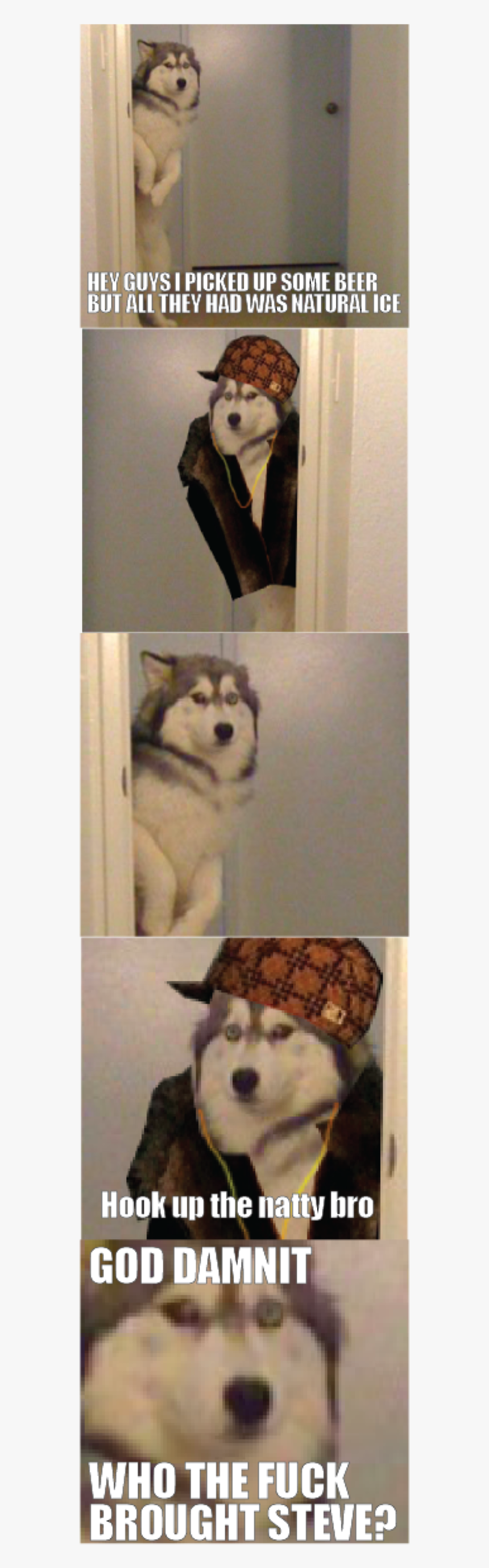 Hey Guysi Picked Up Some Beer But All They Had Was - Mackenzie River Husky, HD Png Download