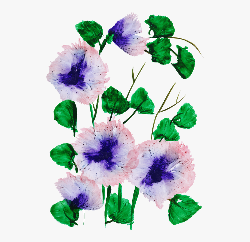 Morning Glory, HD Png Download