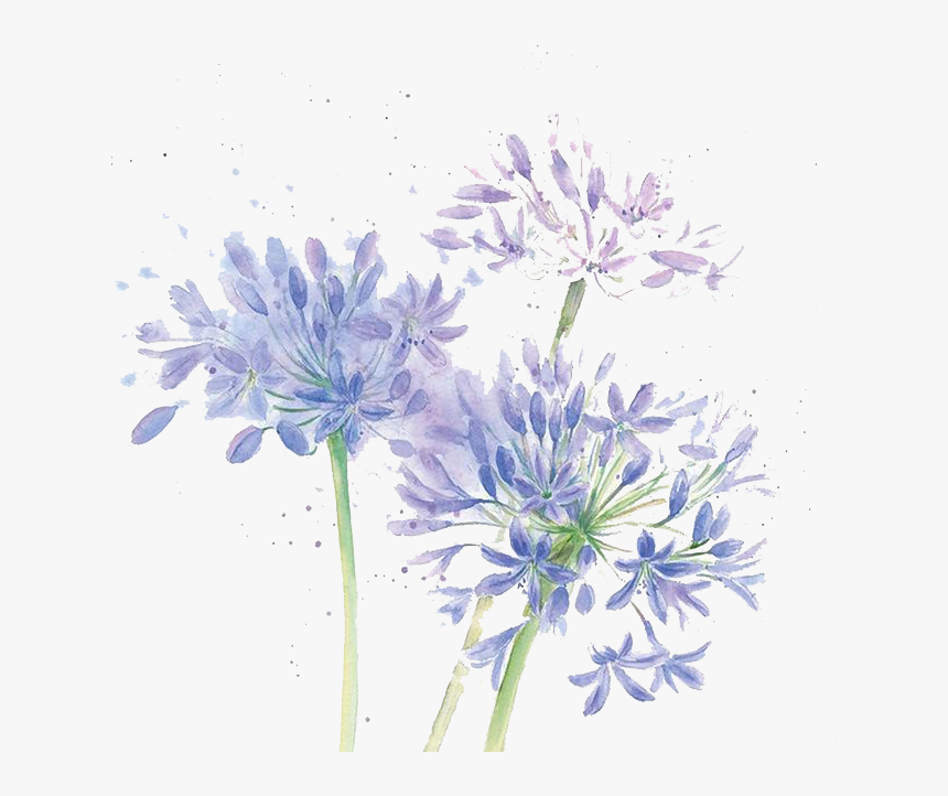 Blue Cut Watercolor Chrysanthemum Design Floral Flowers - Watercolor Transparent Flower Purple, HD Png Download