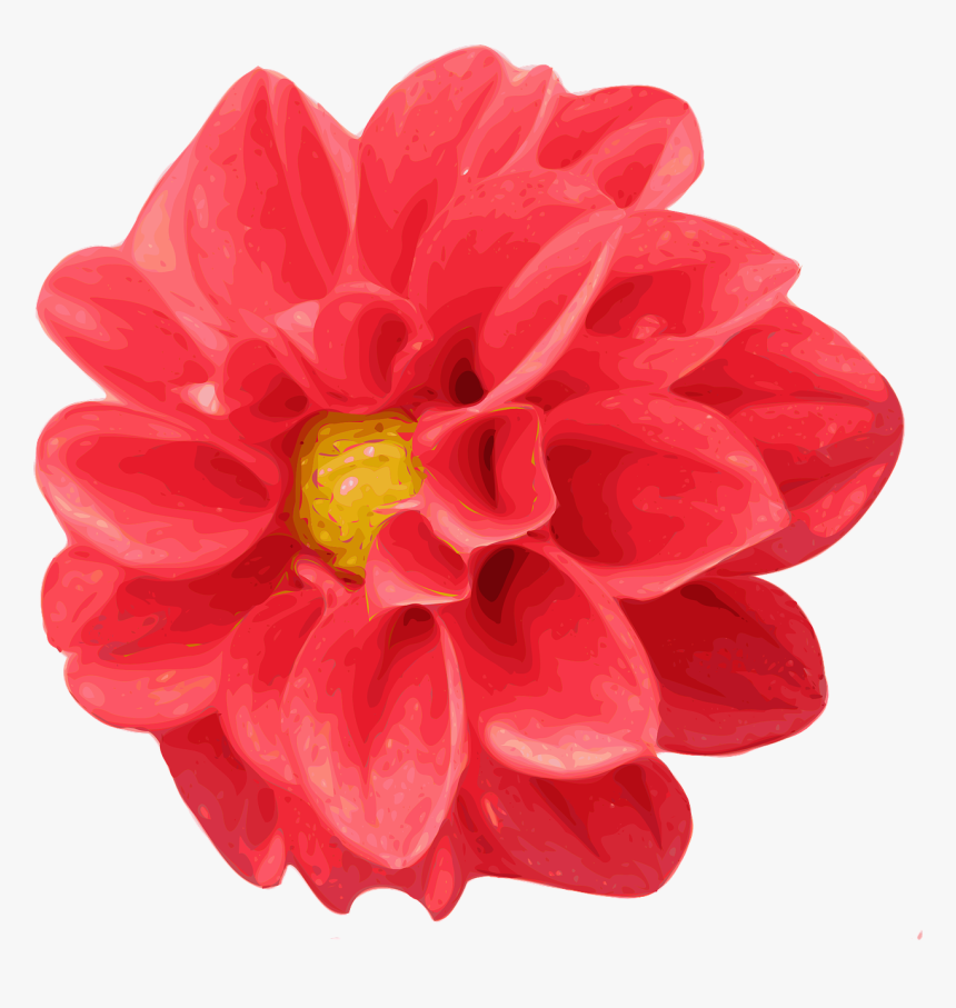 Bunga Dahlia Clipart, HD Png Download