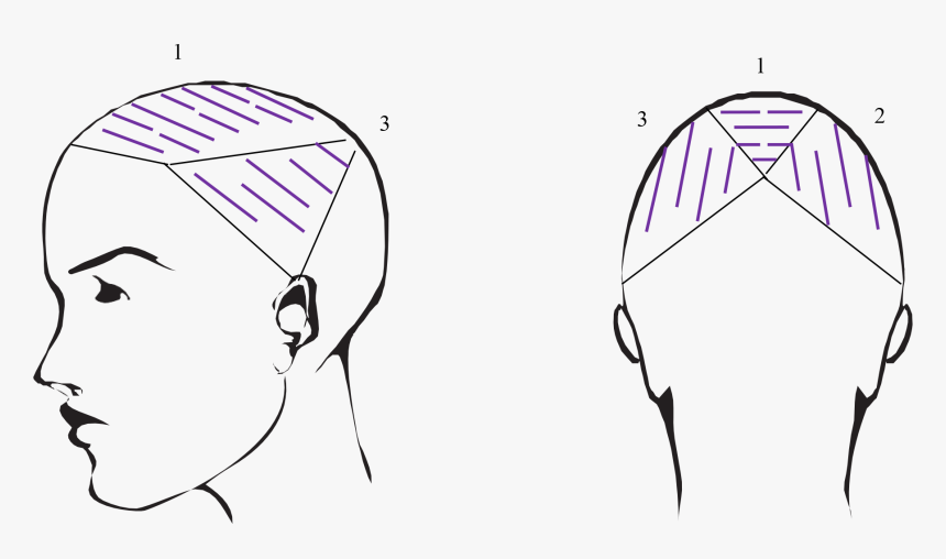 Sketch, HD Png Download