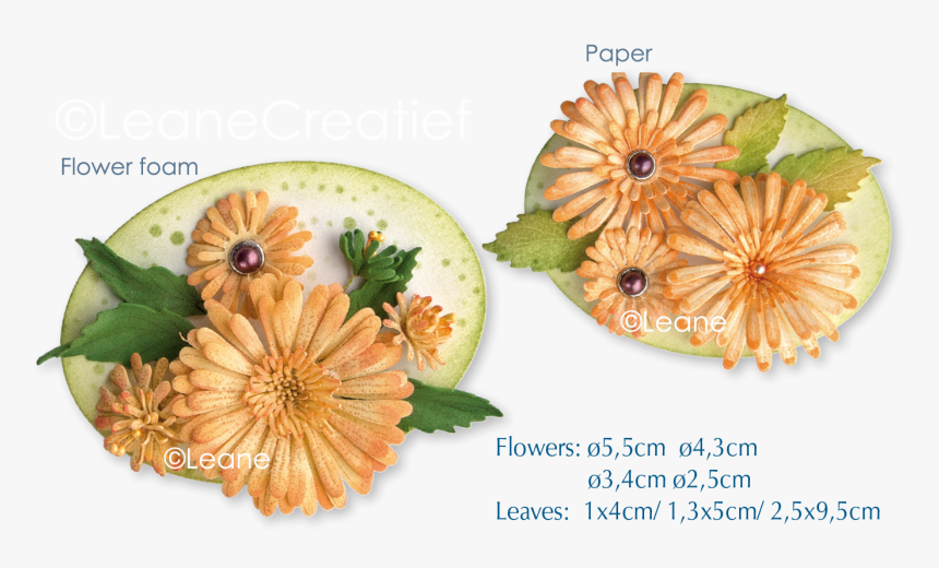 Picture Of Clear Stamp 3d Flower Chrysanthemum , Png - African Daisy, Transparent Png