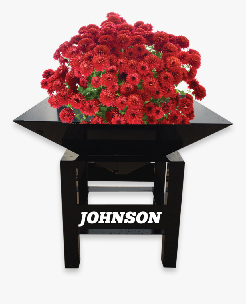 Chrysanthemum , Png Download - Sageretia Theezans, Transparent Png