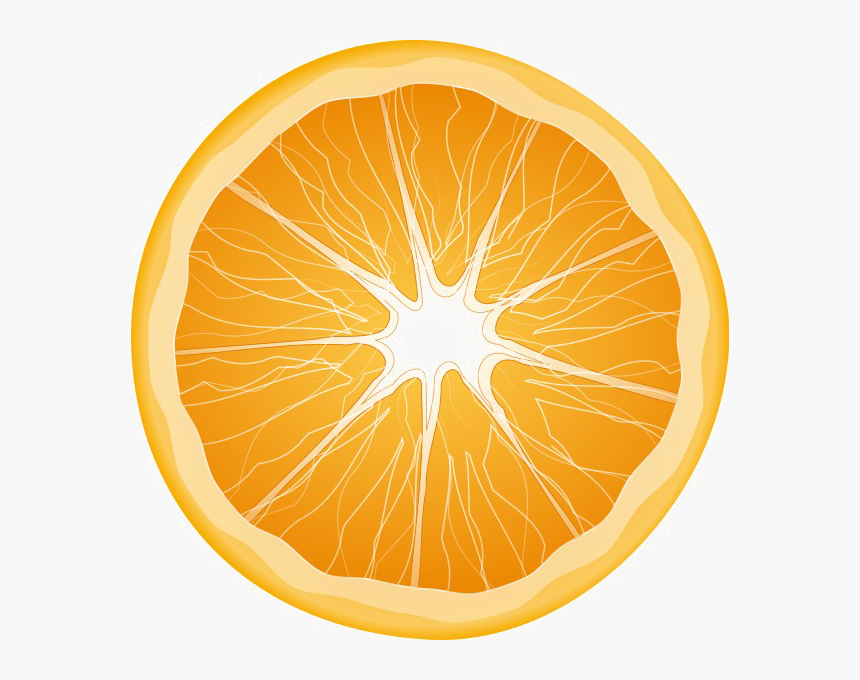 Half Orange Transparent Background - Orange Half Png, Png Download