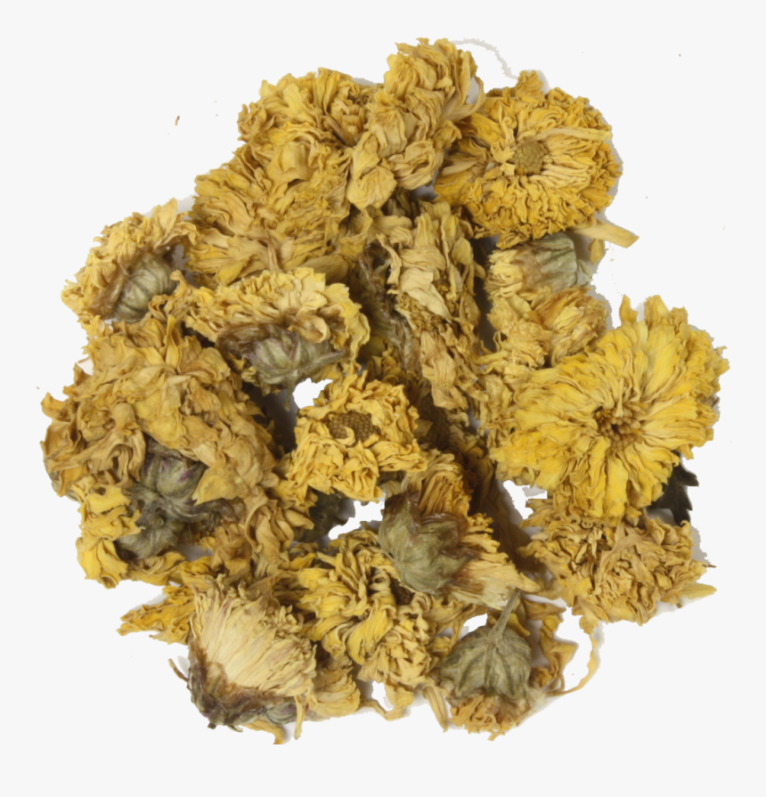 Chrysanthemum Png, Transparent Png