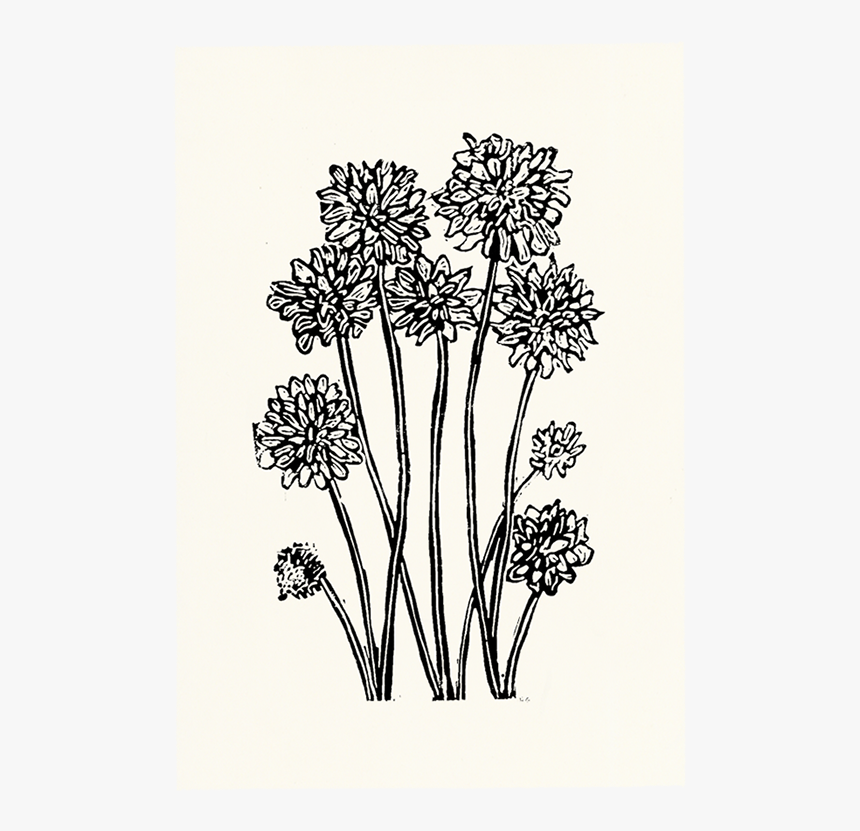 Bouquet, HD Png Download