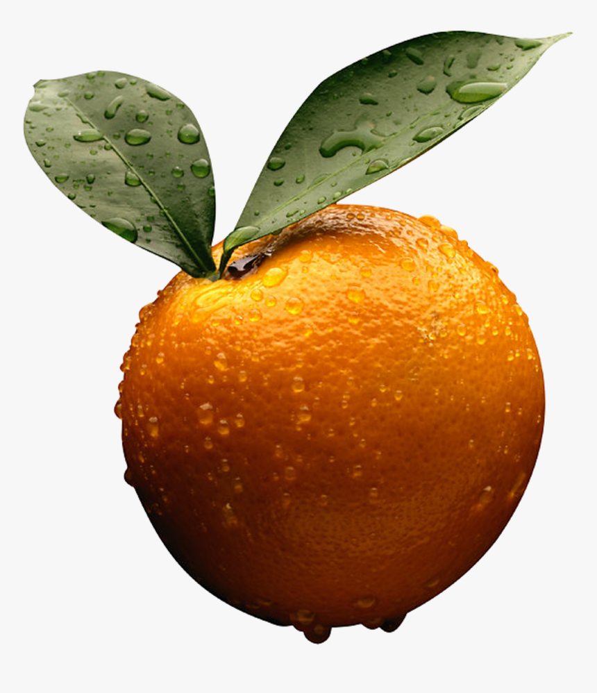 Orange Background - - Png V - 3 - 5 Backgrounds - Business Accounting By Frank Wood, Transparent Png