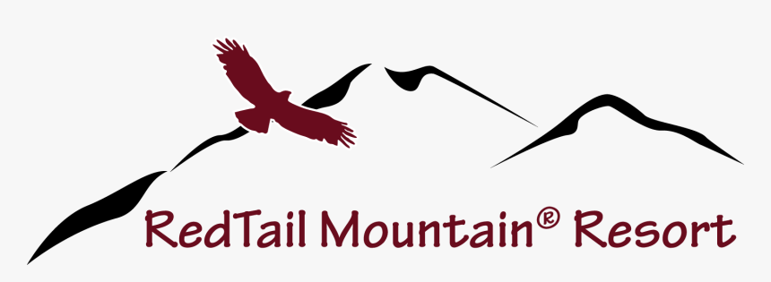 Transparent Red Tailed Hawk Png - Golden Eagle, Png Download
