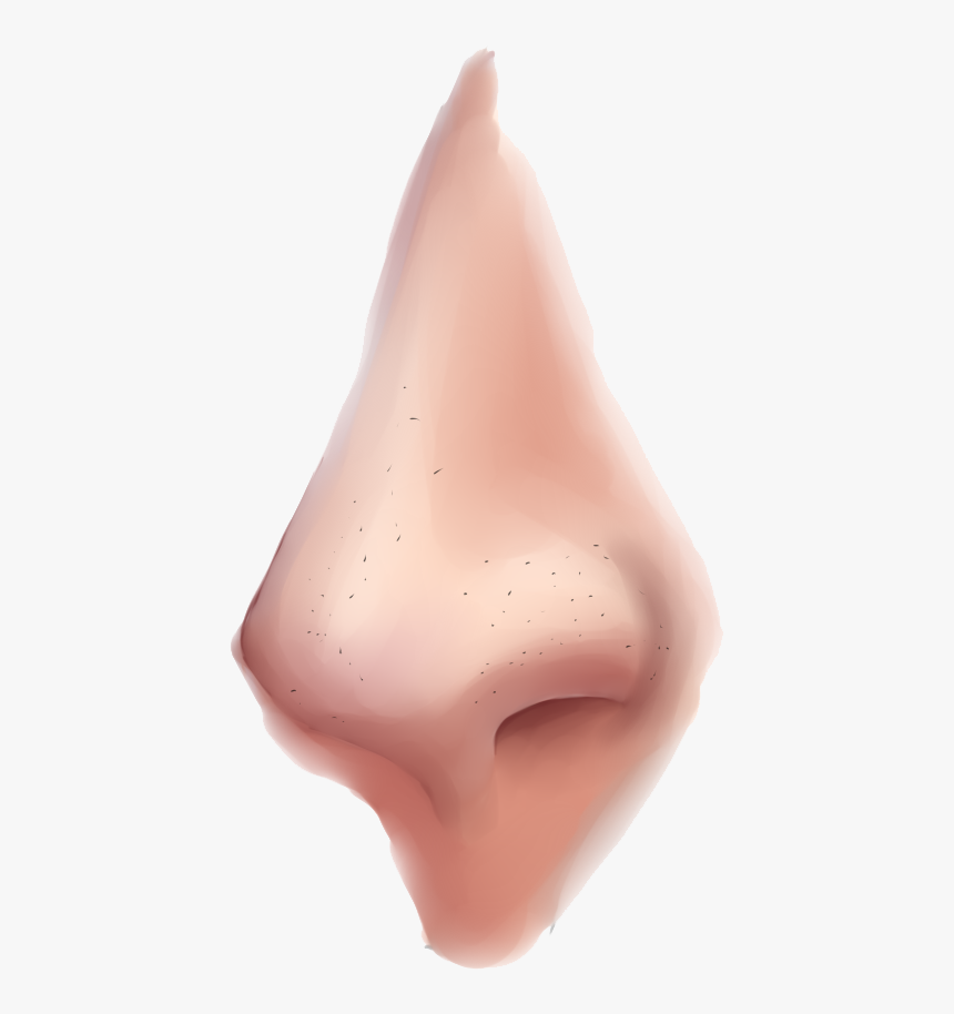 Nose Png Clipart - Semi Realistic Nose Tutorial, Transparent Png