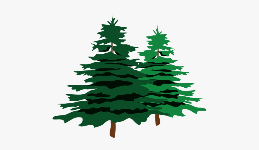 Christmas Tree Branch Png, Transparent Png