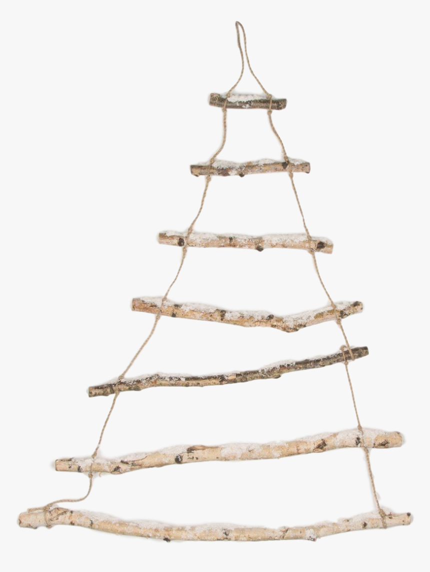Christmas Trees Wood Uk, HD Png Download