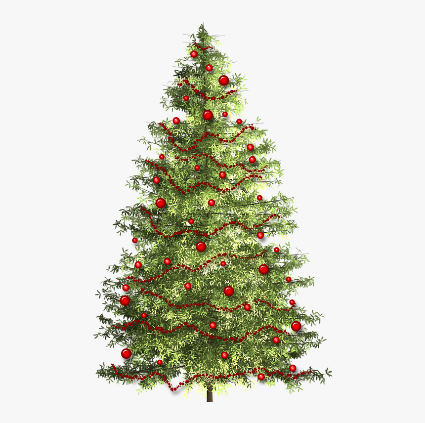 Christmas Christmas Tree Christmas Time Free Photo - Christmas Tree, HD Png Download