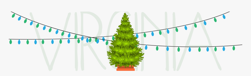 Oregon Pine, HD Png Download