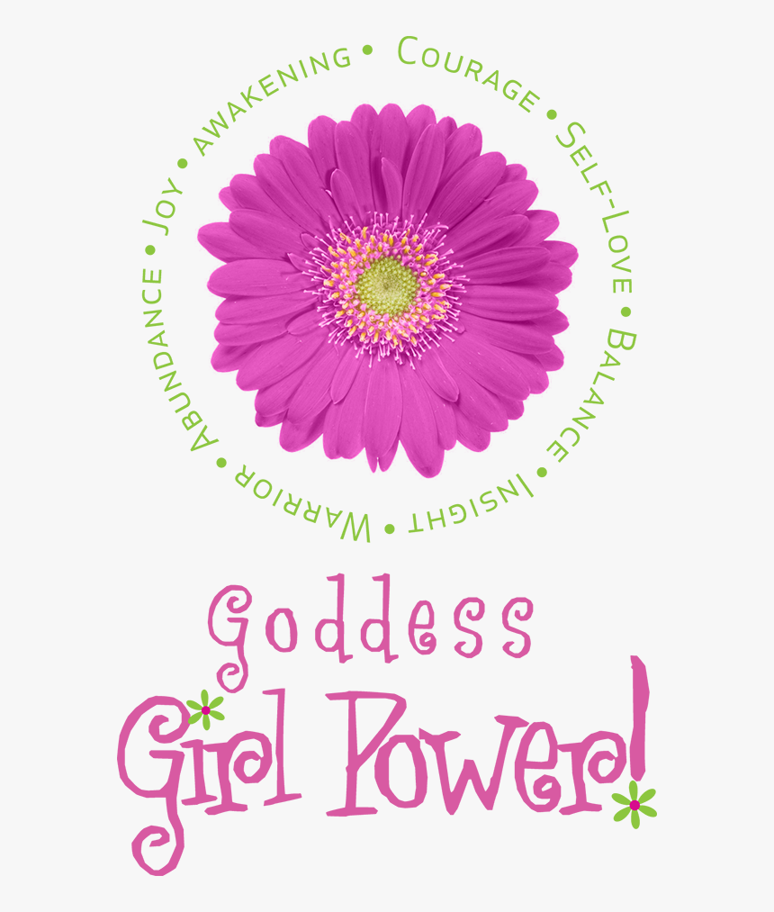 Goddess Girl Power - Barberton Daisy, HD Png Download