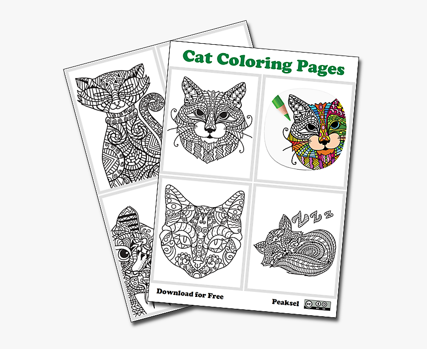 Cat Coloring Pages - Children, HD Png Download