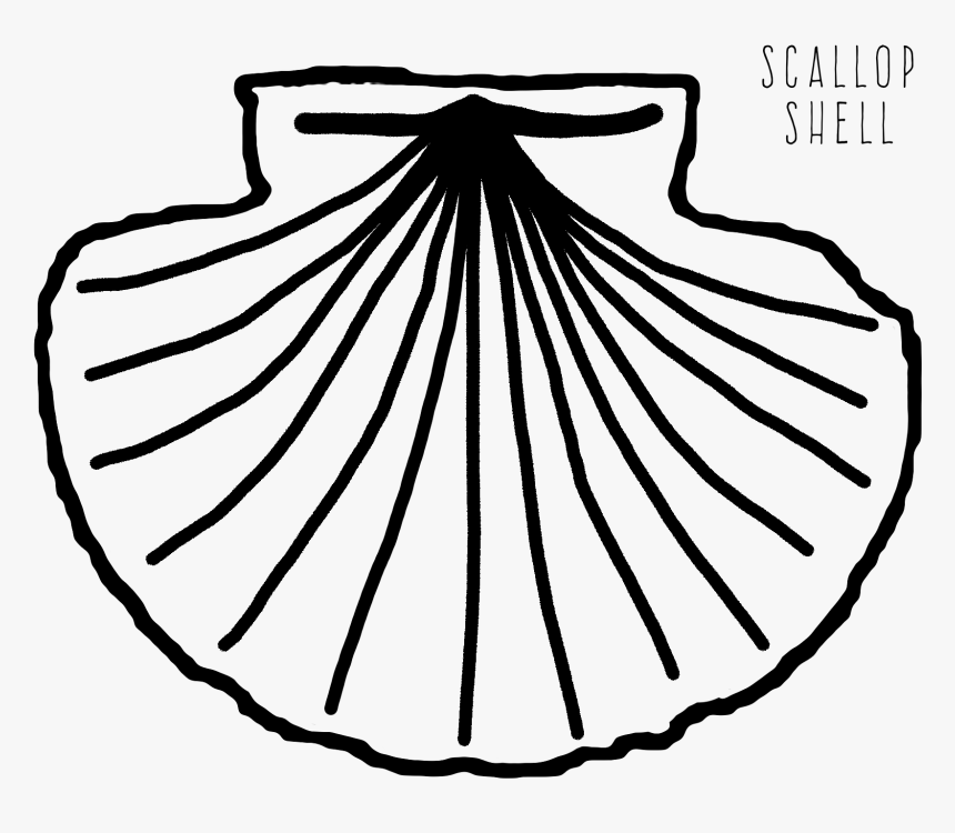 Scallop Shell Coloring Page, HD Png Download