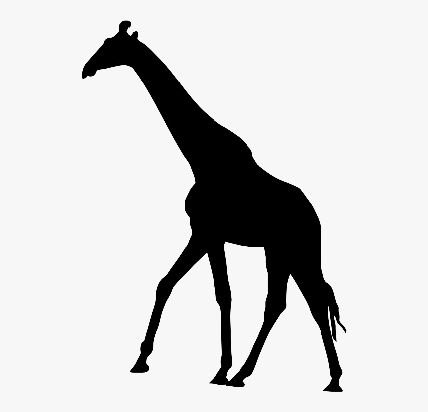 Elephant And Giraffe Cards , Png Download - Silhouette Giraffe Clipart, Transparent Png