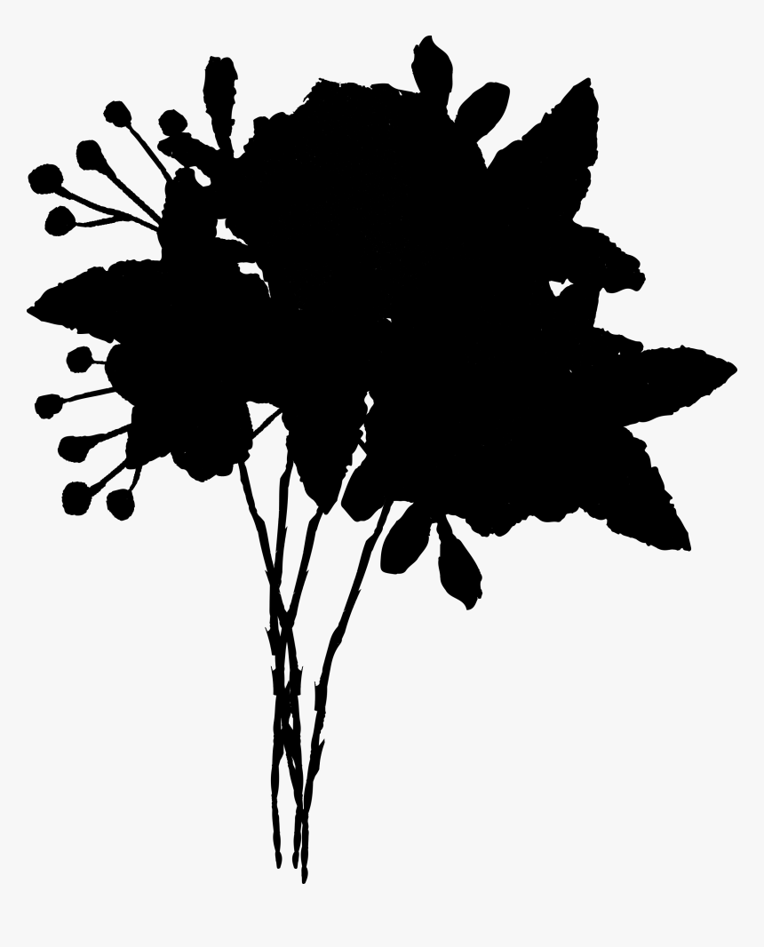 Flowering Plant Silhouette Font Leaf - Silhouette, HD Png Download