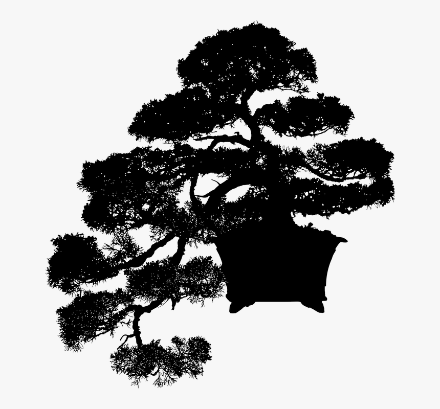 Bonsai, Plant, Silhouette, Tree, Mini, Miniature - Bonsai Silhouette Png, Transparent Png