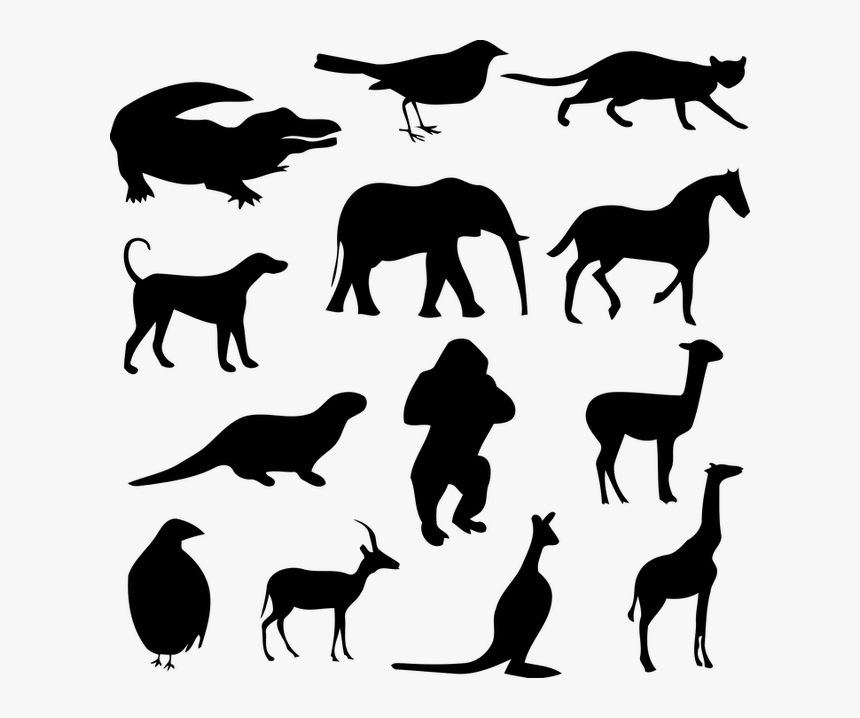 Alligator, Animal, Bird, Cat, Crocodile, Dog, Elephant - Desenho De Sombra De Animais, HD Png Download