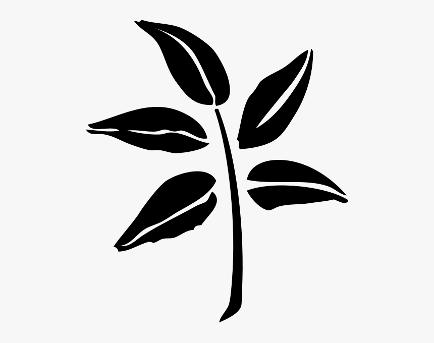 Leaf Silhouette Png Clip Arts - Plant Leaf Silhouette, Transparent Png