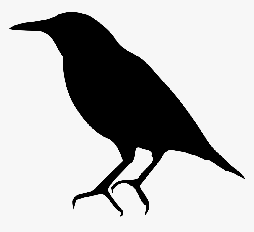 Bird Common Starling American Crow Silhouette - European Starling Clip Art, HD Png Download