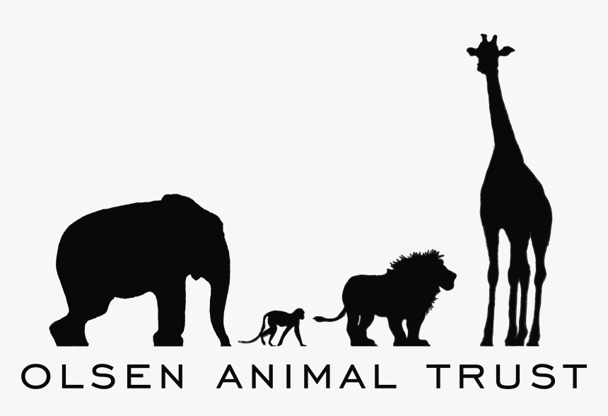 Olsen Animal Trust Logo, HD Png Download